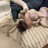 おまつ