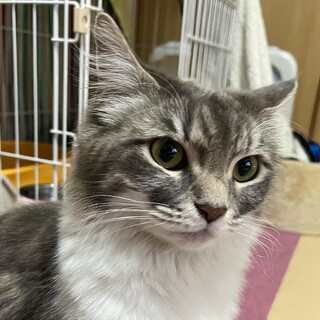 人馴れ抜群！ご飯大好きうーちゃん☆