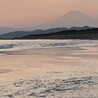 アオサス