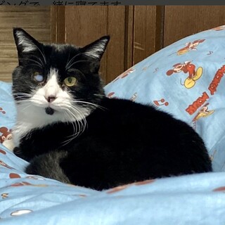 頑張ってます♡ハンデに負けないポジティブな私