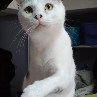 人慣れ性格ピカイチの男の子❤️