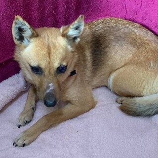 ありがとうございました！