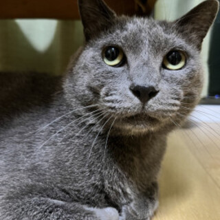 グレン君☆男の子