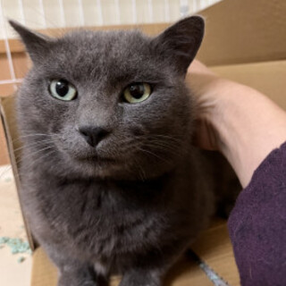 ブルー君☆男の子