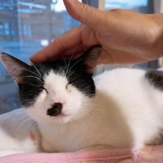 ほがらかミーナちゃん❣