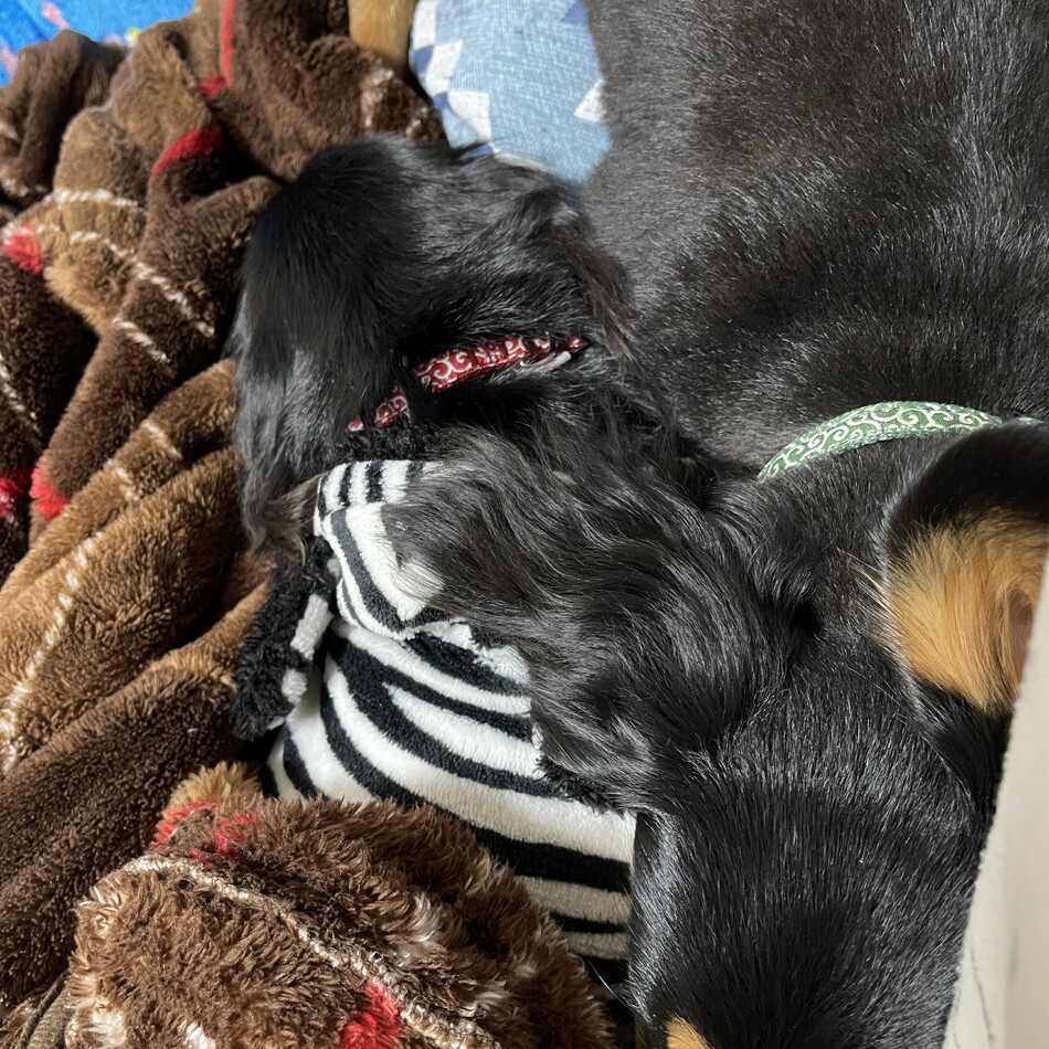 紀伊のカバー写真