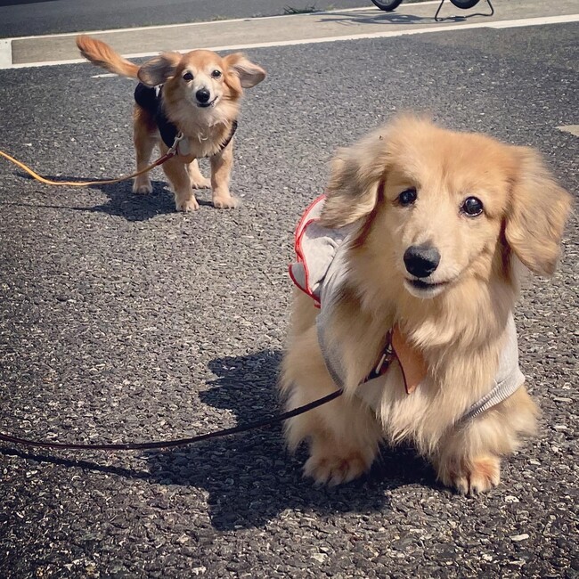 りぃやん0111のカバー写真