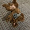 の写真