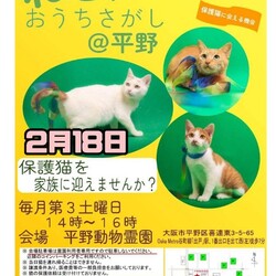 週末は里親会