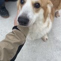 一時募集を止めさせていただきます。