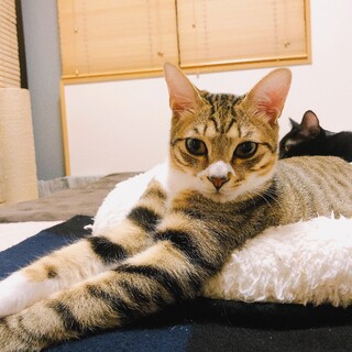 2/19西千葉ෆ⃛と〜っても穏やかෆ⃛ピノくん