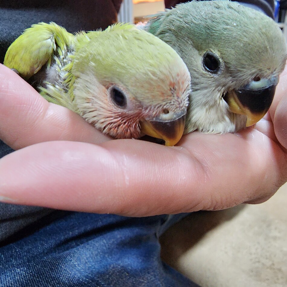きじまくんのカバー写真