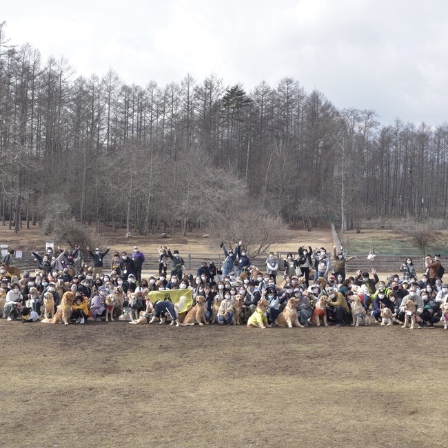 ゴルサミのカバー写真
