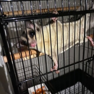 お伺い合わせ多数のため一旦締め切ります