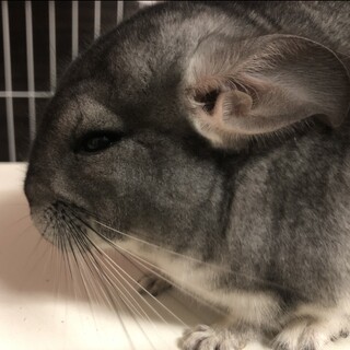 ご応募ありがとうございます。現在お話し中です。