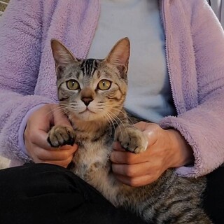 大好きなお膝はワタシのもの！