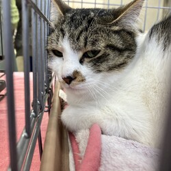 名古屋市緑区生涯学習センター