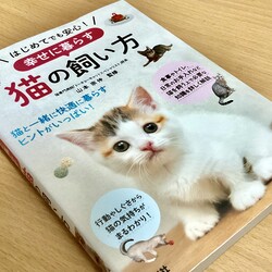 猫をお迎えする準備