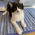 おっとり、お膝大好き甘えん坊