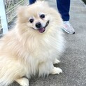 可愛がって頂ける方募集
