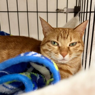 魅惑のシーナちゃん♡