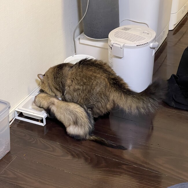 テクゾウのカバー写真