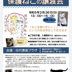 ネコの譲渡会IN島田