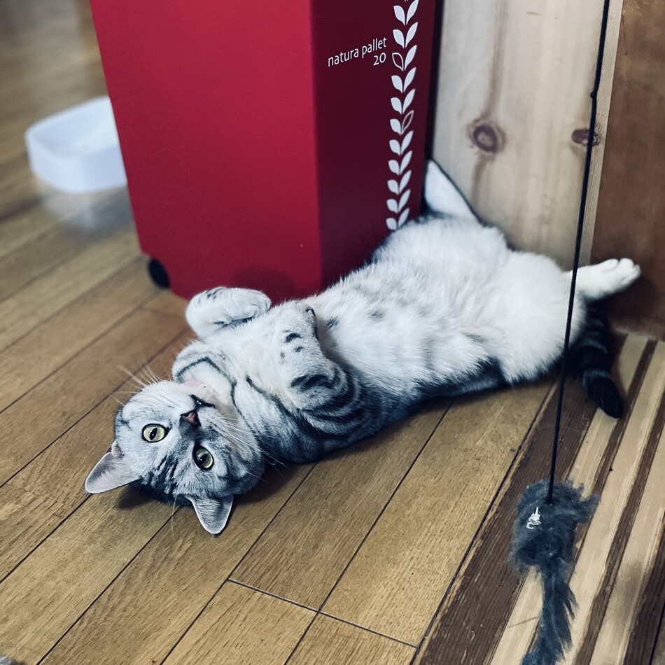 ぴとのカバー写真