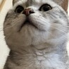 の写真