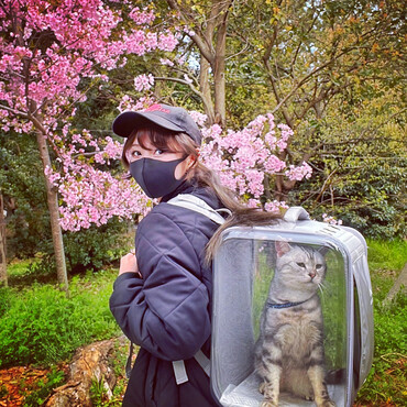 の写真