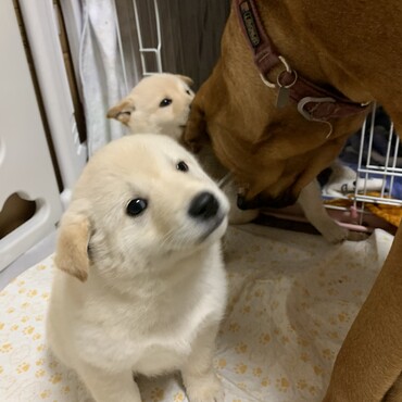 の写真
