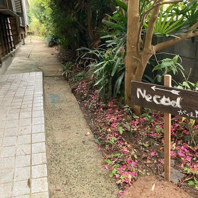 株式会社K's co-lab  保護猫チームNECO学園のカバー写真