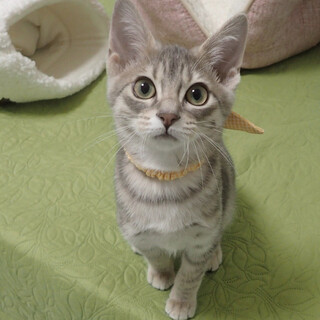 【2/19東銀座】てるくん4ヵ月♪