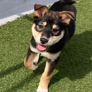 美人顔な女の子！ エレちゃん