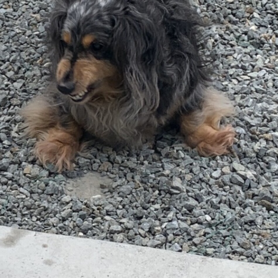 藤原亜矢佳のカバー写真