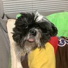 寝ぼけ
