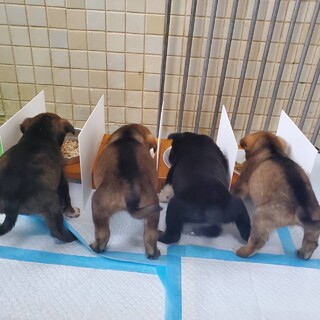 ありがとうございました！