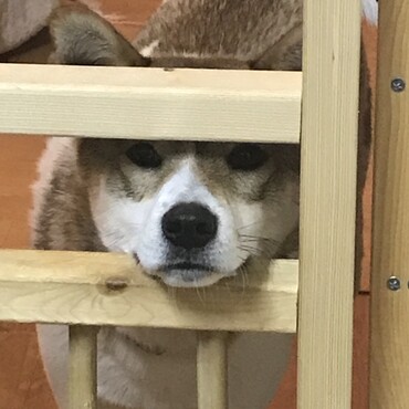 の写真
