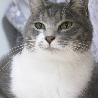 【8/4東銀座】アリスちゃん★3歳♪