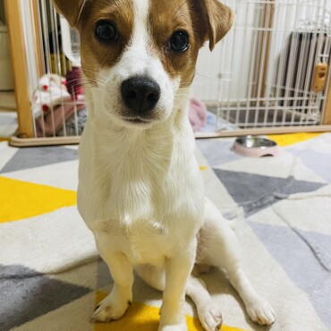 座り方がいつも色っぽい