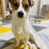 座り方がいつも色っぽい