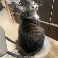 うら