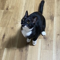 くぅちゃん