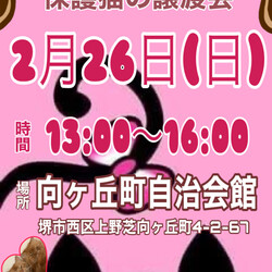 保護猫の譲渡会