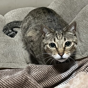 じゃれてたらお目目がまんまるに