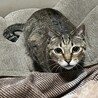 じゃれてたらお目目がまんまるに