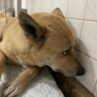 期限が1週間しかありません、24日金曜日までです！