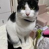 こたろう