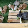 なぎっち。。
