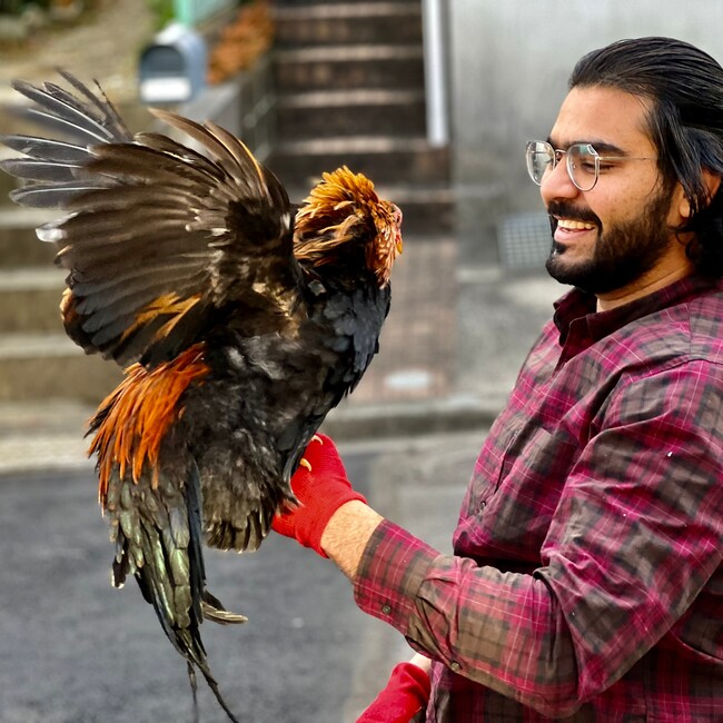 サルマンのカバー写真
